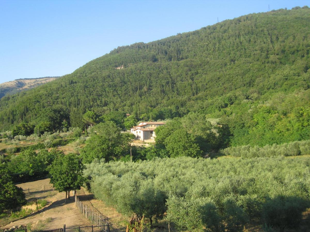 Agriturismo Il Ponticello Vaiano  Екстер'єр фото