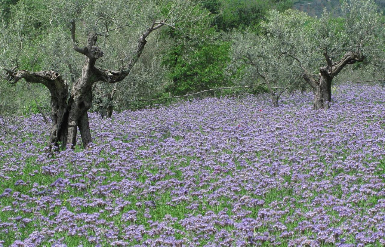 Agriturismo Il Ponticello Vaiano  Номер фото