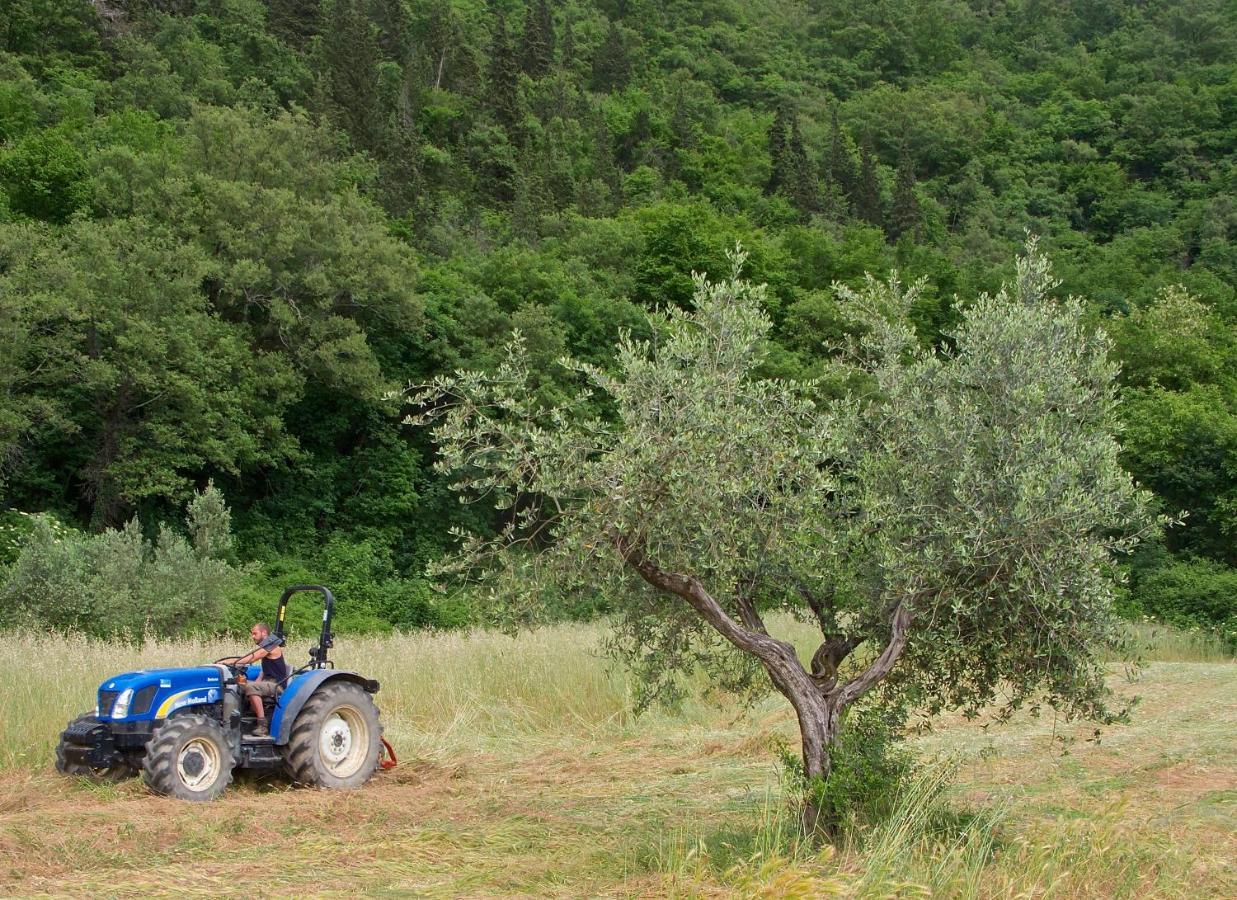 Agriturismo Il Ponticello Vaiano  Екстер'єр фото