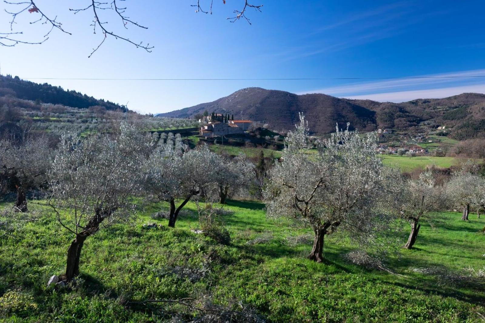 Agriturismo Il Ponticello Vaiano  Екстер'єр фото